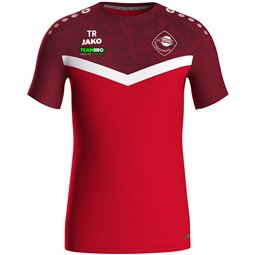 SG Stahl Schmiedeberg T-Shirt Iconic Kinder