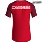 SG Stahl Schmiedeberg T-Shirt Iconic Herren