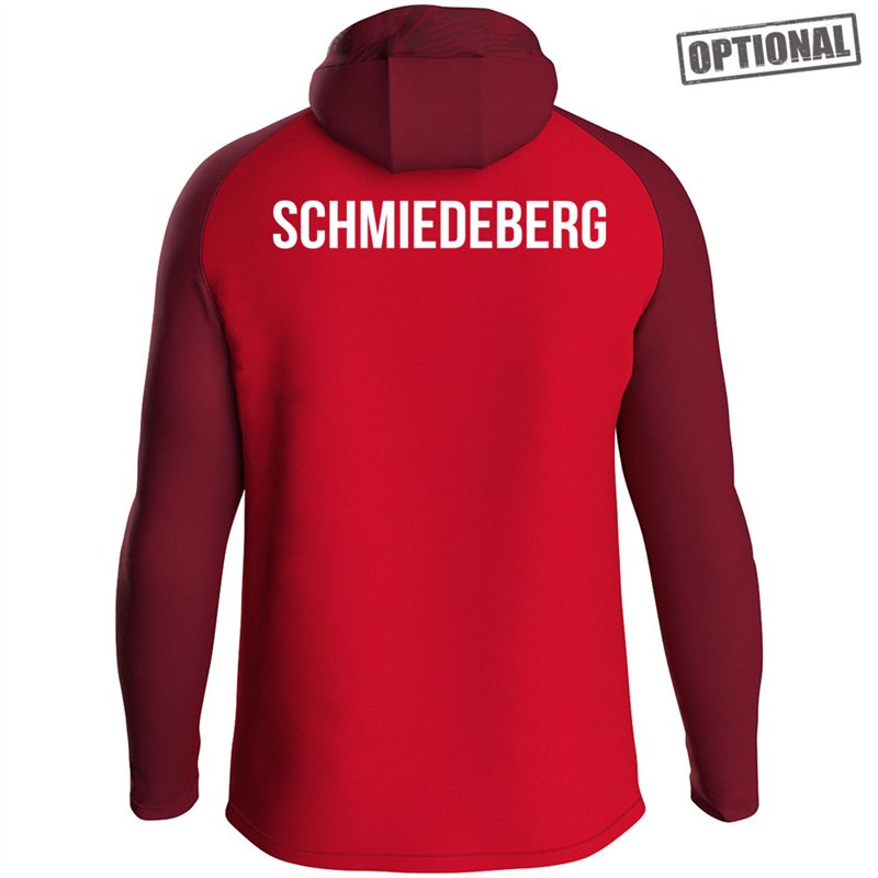 SG Stahl Schmiedeberg Kapuzenjacke Iconic Kinder
