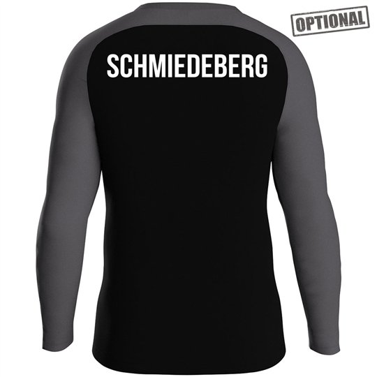 SG Stahl Schmiedeberg Sweat Iconic Kinder