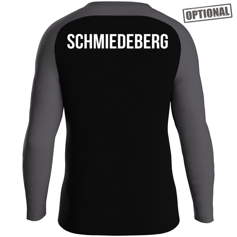 SG Stahl Schmiedeberg Sweat Iconic Kinder